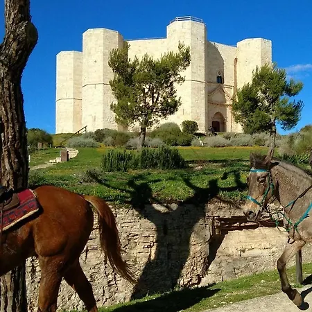 Casa Dei Greci Дом отдыха Барлетта